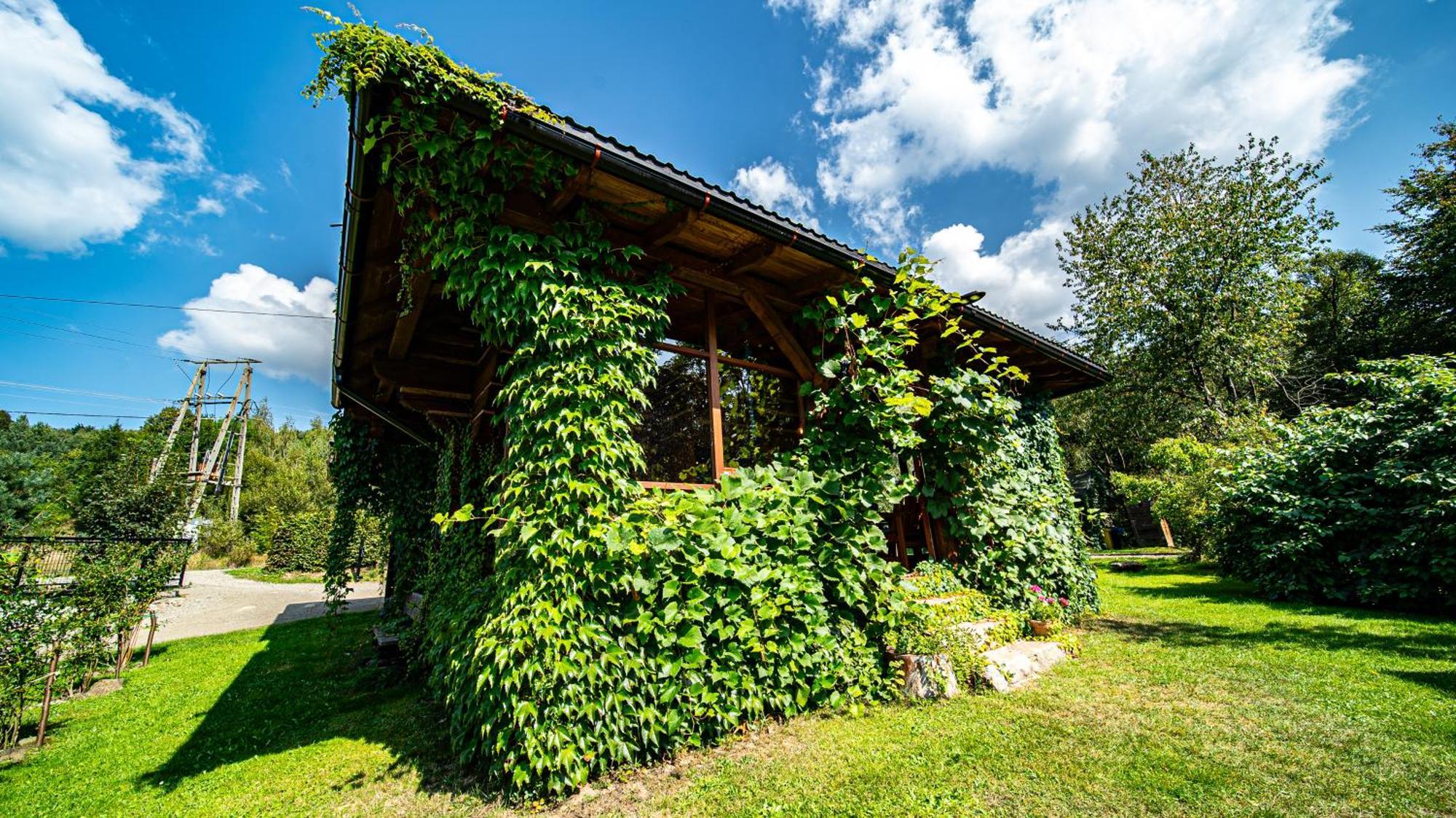 Wapienne Domek Sekowa Exterior foto